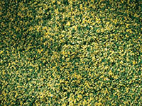 015-76668 - Rollrasen mit Maiblumen (150 x 250 mm)